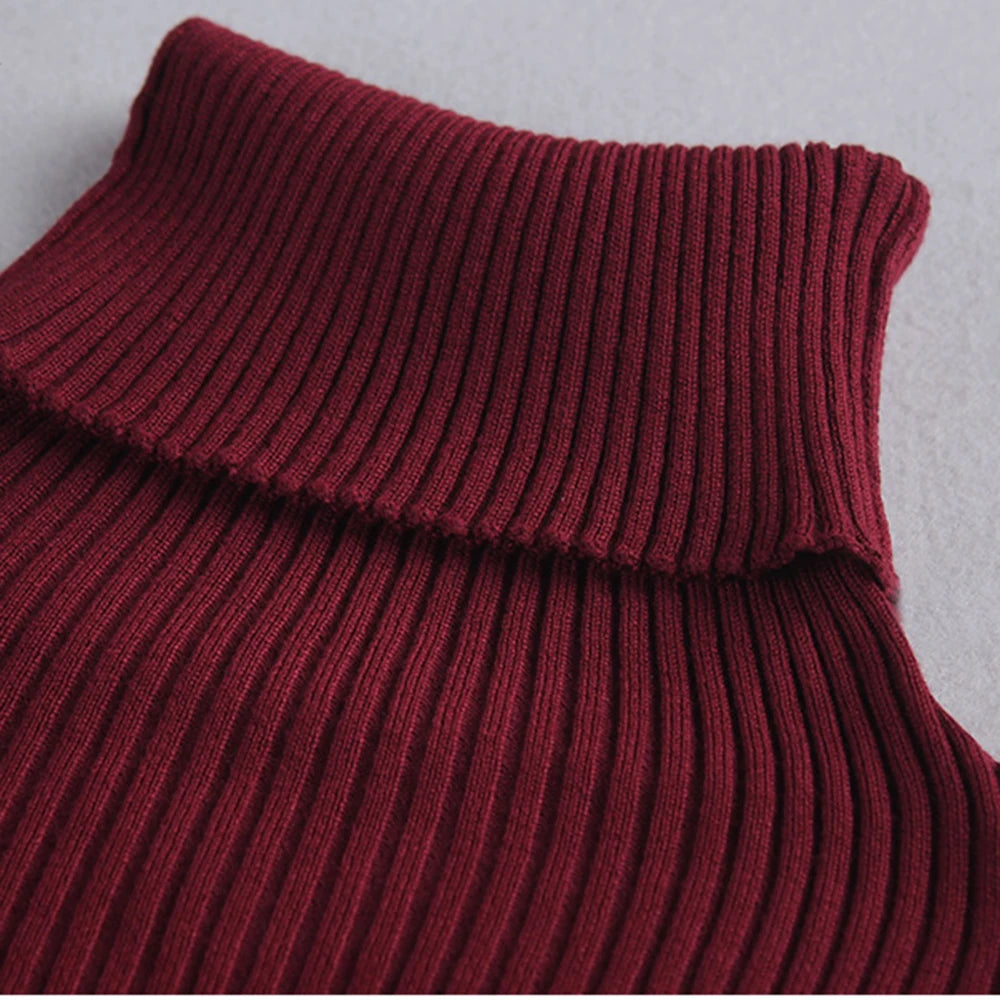 Knit Turtleneck Winter Maxi Dress